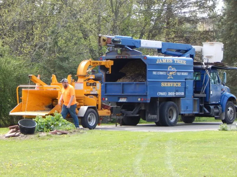 James Tree Service crew at work