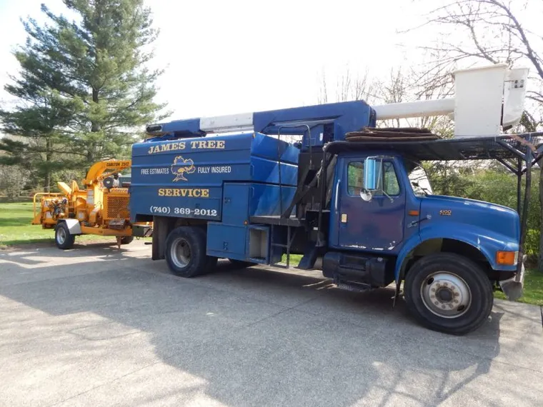 Tree removal in Delaware, OH