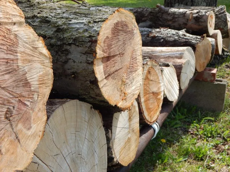 Stump grinding
